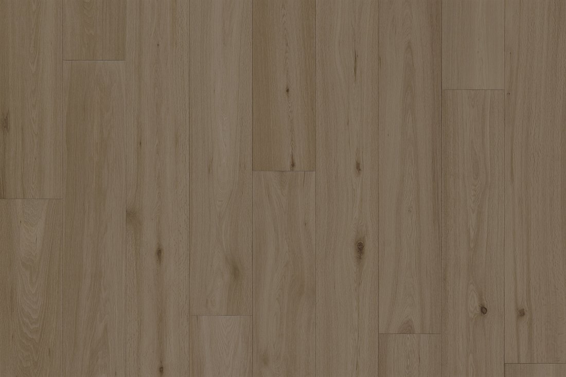 Lignum Alba