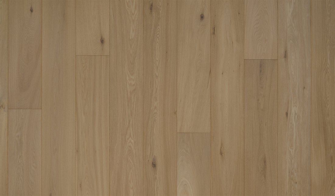 Lignum Ivoire