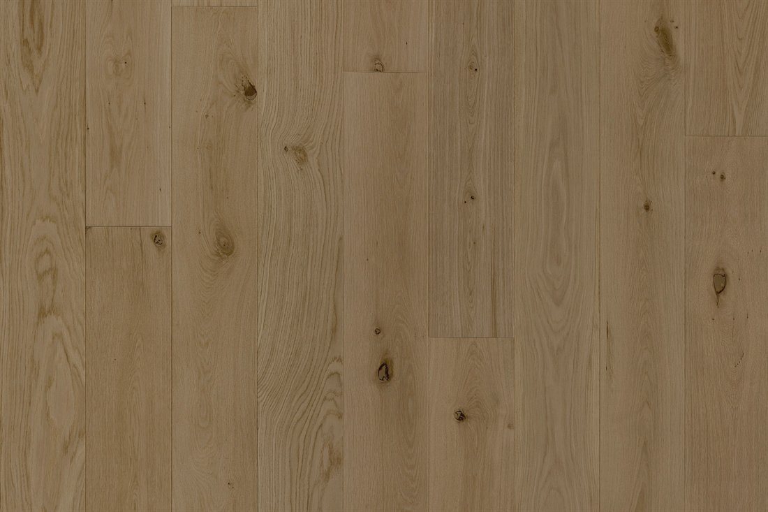 Lignum Quercia