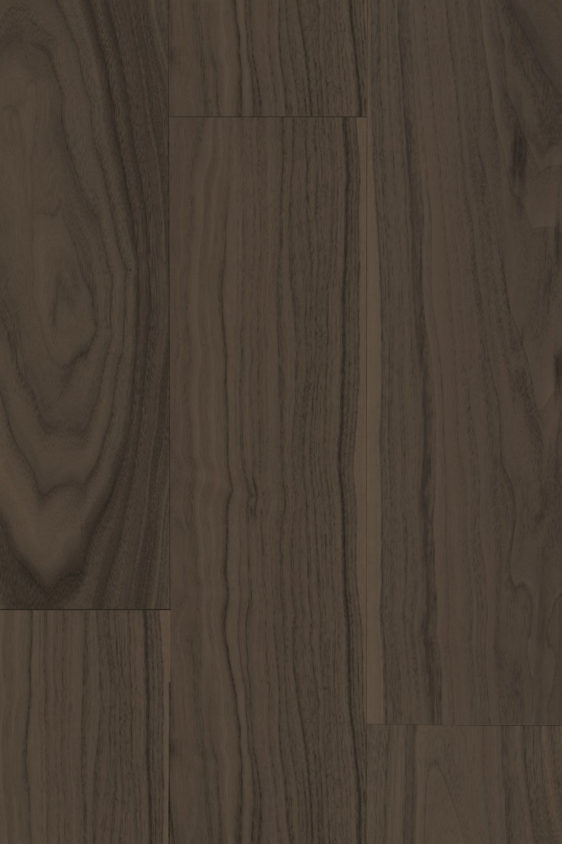 Tropical Walnut