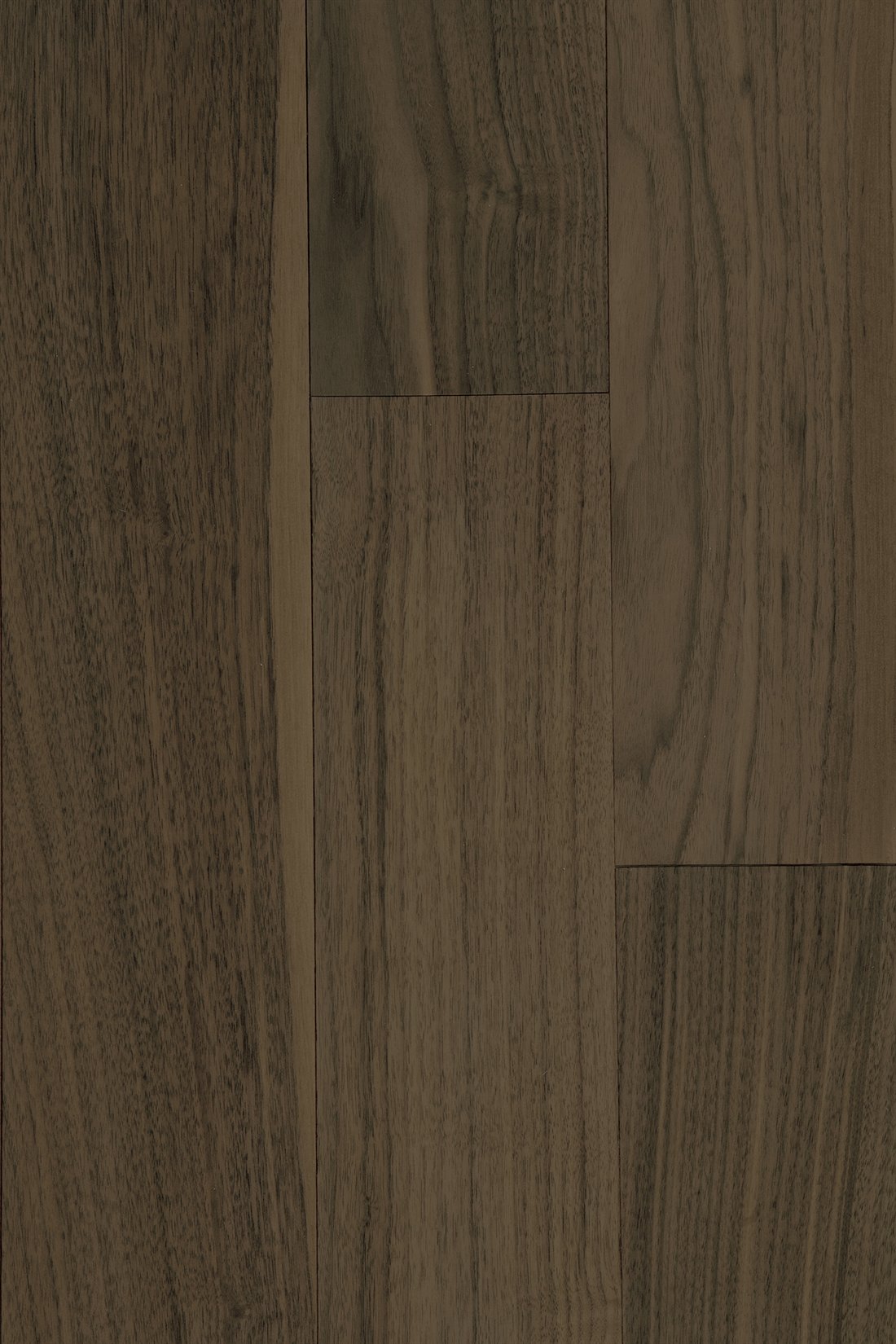 Wild Walnut