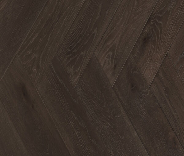 Midnight Oak